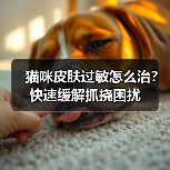猫咪皮肤过敏怎么治？快速缓解抓挠困扰（图4）