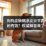 狗狗皮肤病涂皮炎平真的有效？权威解答来了（图2）