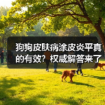 狗狗皮肤病涂皮炎平真的有效？权威解答来了（图1）