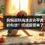 狗狗皮肤病涂皮炎平真的有效？权威解答来了（图4）