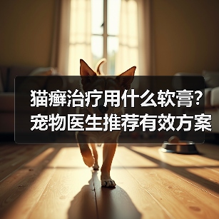 猫癣治疗用什么软膏？宠物医生推荐有效方案（图2）