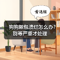 狗狗脓包溃烂怎么办？别等严重才处理（图1）