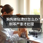 狗狗脓包溃烂怎么办？别等严重才处理（图3）