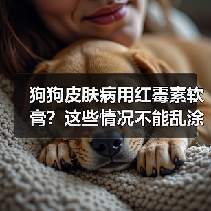 狗狗皮肤病用红霉素软膏？这些情况不能乱涂！