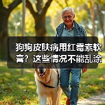 狗狗皮肤病用红霉素软膏？这些情况不能乱涂！（图3）