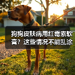 狗狗皮肤病用红霉素软膏？这些情况不能乱涂！（图4）