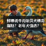 鲜粮说牛肉贻贝犬粮高脂肪？老年犬慎选？