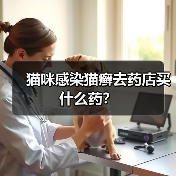 猫咪感染猫癣去药店买什么药?(图3) 猫咪感染猫癣去药店买什么药?(图3)