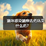 猫咪感染猫癣去药店买什么药?(图4) 猫咪感染猫癣去药店买什么药?(图4)