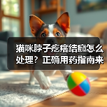 猫咪脖子疙瘩结痂怎么处理？正确用药指南来了