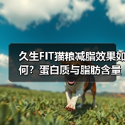 久生FIT猫粮减脂效果如何?蛋白质与脂肪含量解析(图4) 久生FIT猫粮减脂效果如何?蛋白质与脂肪含量解析(图4)