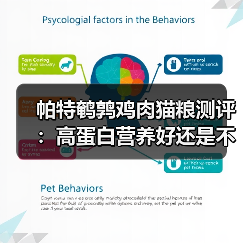 帕特鹌鹑鸡肉猫粮测评：高蛋白营养好还是不足？