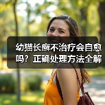 幼猫长癣不治疗会自愈吗?正确处理方法全解析(图4) 幼猫长癣不治疗会自愈吗?正确处理方法全解析(图4)