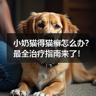 小奶猫得猫癣怎么办?最全治疗指南来了!(图2) 小奶猫得猫癣怎么办?最全治疗指南来了!(图2)