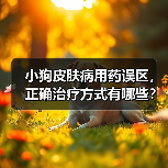 小狗皮肤病用药误区,正确治疗方式有哪些?(图2) 小狗皮肤病用药误区,正确治疗方式有哪些?(图2)
