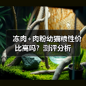 冻肉+肉粉幼猫粮性价比高吗?测评分析(图2) 冻肉+肉粉幼猫粮性价比高吗?测评分析(图2)