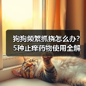 狗狗频繁抓挠怎么办?5种止痒药物使用全解析(图1) 狗狗频繁抓挠怎么办?5种止痒药物使用全解析(图1)