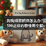 狗狗频繁抓挠怎么办?5种止痒药物使用全解析(图2) 狗狗频繁抓挠怎么办?5种止痒药物使用全解析(图2)