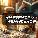 狗狗频繁抓挠怎么办?5种止痒药物使用全解析(图3) 狗狗频繁抓挠怎么办?5种止痒药物使用全解析(图3)
