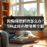 狗狗频繁抓挠怎么办?5种止痒药物使用全解析(图4) 狗狗频繁抓挠怎么办?5种止痒药物使用全解析(图4)