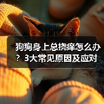 狗狗身上总挠痒怎么办？3大常见原因及应对方法（图4）