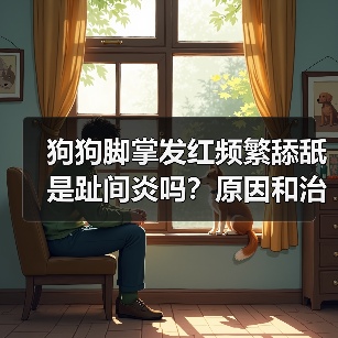 狗狗脚掌发红频繁舔舐是趾间炎吗?原因和治疗全解析(图1) 狗狗脚掌发红频繁舔舐是趾间炎吗?原因和治疗全解析(图1)