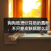 狗狗脸溃烂背后的真相,不只是皮肤病那么简单!(图2) 狗狗脸溃烂背后的真相,不只是皮肤病那么简单!(图2)