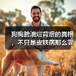 狗狗脸溃烂背后的真相,不只是皮肤病那么简单!(图3) 狗狗脸溃烂背后的真相,不只是皮肤病那么简单!(图3)