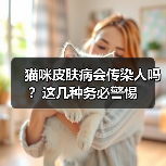 猫咪皮肤病会传染人吗？这几种务必警惕（图1）