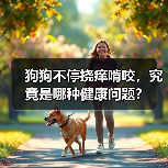 狗狗不停挠痒啃咬,究竟是哪种健康问题?(图3) 狗狗不停挠痒啃咬,究竟是哪种健康问题?(图3)