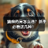 猫癣药膏怎么选?新手必看这几种!(图3) 猫癣药膏怎么选?新手必看这几种!(图3)