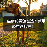 猫癣药膏怎么选?新手必看这几种!(图4) 猫癣药膏怎么选?新手必看这几种!(图4)