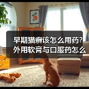 早期猫癣该怎么用药?外用软膏与口服药怎么选?(图1) 早期猫癣该怎么用药?外用软膏与口服药怎么选?(图1)