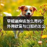 早期猫癣该怎么用药?外用软膏与口服药怎么选?(图4) 早期猫癣该怎么用药?外用软膏与口服药怎么选?(图4)