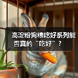 高淀粉狗粮吃好系列能否真的“吃好”？（图3）