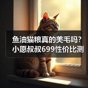 鱼油猫粮真的美毛吗？小愿叔叔699性价比测评（图3）
