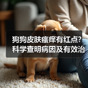 狗狗皮肤瘙痒有红点?科学查明病因及有效治疗方法(图4) 狗狗皮肤瘙痒有红点?科学查明病因及有效治疗方法(图4)