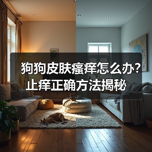 狗狗皮肤瘙痒怎么办?止痒正确方法揭秘(图2) 狗狗皮肤瘙痒怎么办?止痒正确方法揭秘(图2)