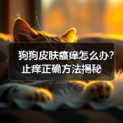 狗狗皮肤瘙痒怎么办?止痒正确方法揭秘(图3) 狗狗皮肤瘙痒怎么办?止痒正确方法揭秘(图3)