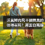 沃莫鲜肉风干猫粮真的值得买吗？高蛋白高脂肪的真相