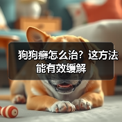 狗狗癣怎么治?这方法能有效缓解(图2) 狗狗癣怎么治?这方法能有效缓解(图2)