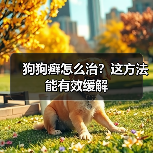 狗狗癣怎么治?这方法能有效缓解(图1) 狗狗癣怎么治?这方法能有效缓解(图1)