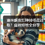猫咪眼皮红肿掉毛是过敏?自救经验全分享(图1) 猫咪眼皮红肿掉毛是过敏?自救经验全分享(图1)