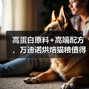 高蛋白原料+高端配方,万迪诺烘焙猫粮值得买吗?(图4) 高蛋白原料+高端配方,万迪诺烘焙猫粮值得买吗?(图4)