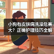 小狗有皮肤病洗澡危害大？正确护理技巧全解析（图4）