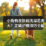 小狗有皮肤病洗澡危害大？正确护理技巧全解析（图3）