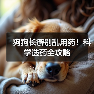 狗狗长癣别乱用药!科学选药全攻略(图1) 狗狗长癣别乱用药!科学选药全攻略(图1)