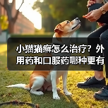 小猫猫癣怎么治疗?外用药和口服药哪种更有效?(图1) 小猫猫癣怎么治疗?外用药和口服药哪种更有效?(图1)