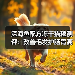 深海鱼配方冻干猫粮测评：改善毛发护肠胃高性价比？（图2）