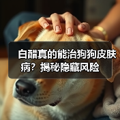 白醋真的能治狗狗皮肤病?揭秘隐藏风险(图3) 白醋真的能治狗狗皮肤病?揭秘隐藏风险(图3)